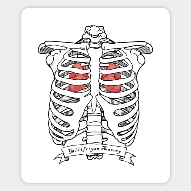 Gallifreyan Anatomy Magnet by Thirrin